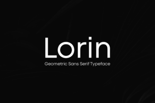 Enhance Your Brand with the Modern Lorin Font