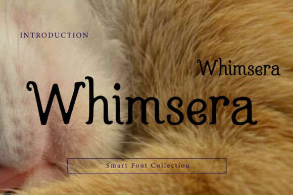 Whimsera: A Playful Serif Font for Digital Branding